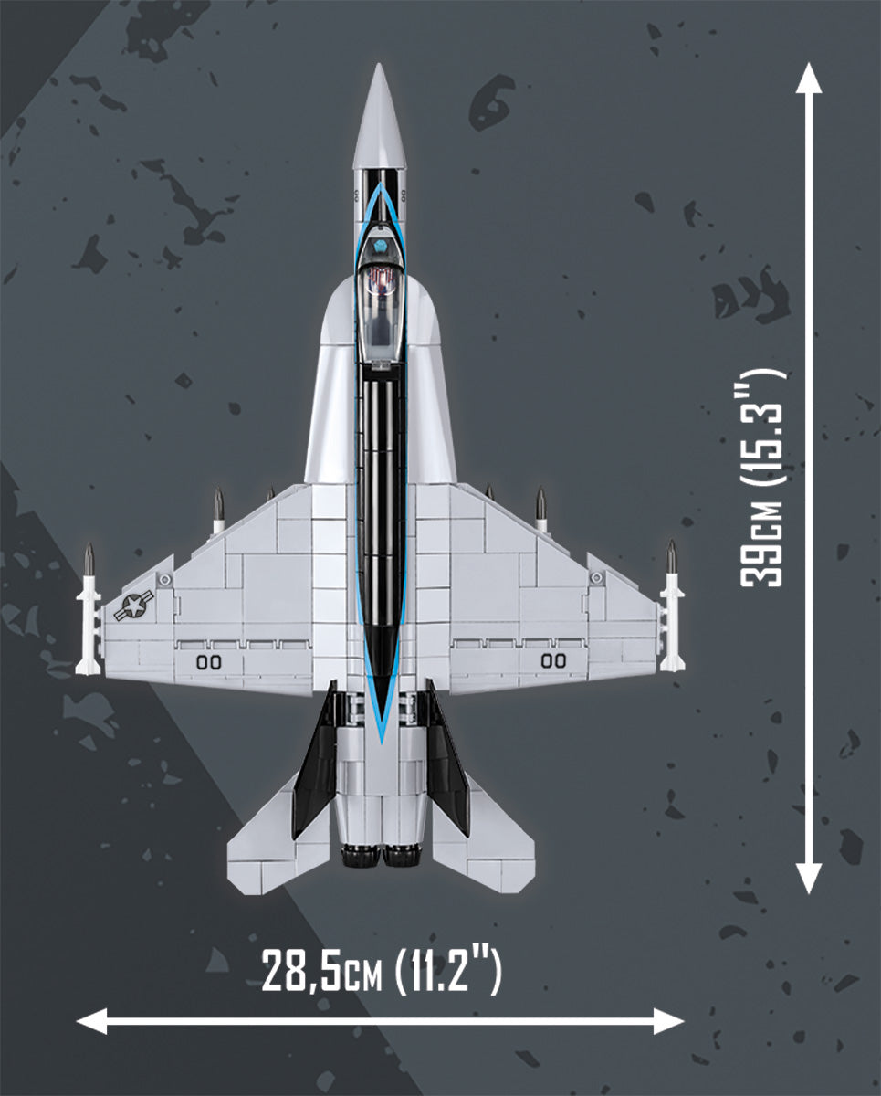 F/A-18E Super Hornet LTD